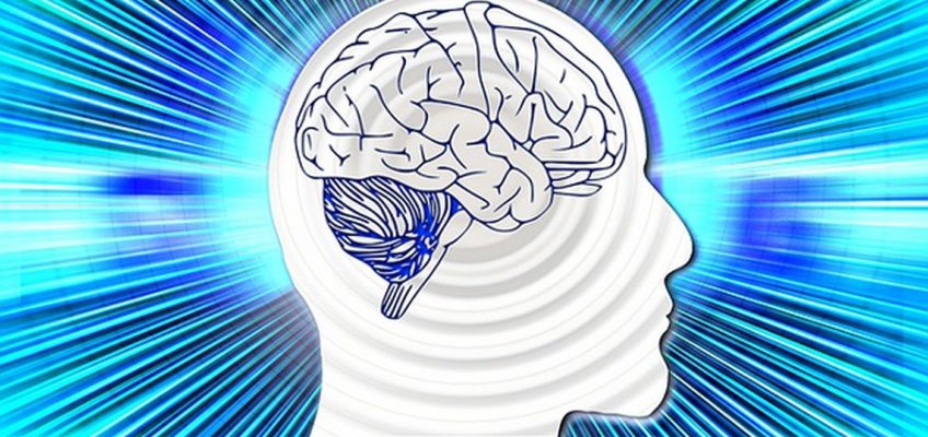 Brain Health Can’t Wait