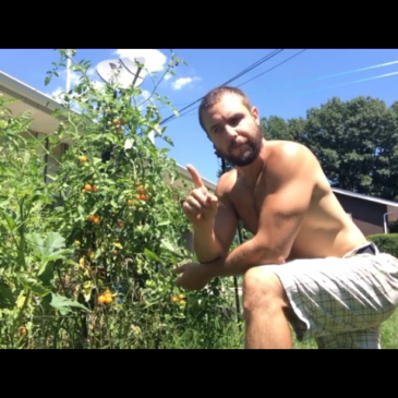 Nicks Quick Tip – Chew Your Food