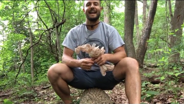 Nicks Quick Tip – Plasticity of the Brain