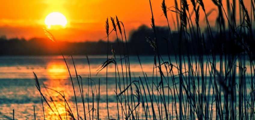 Perfect Bedtime Routine for Brain Health 1400