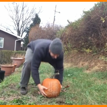Smashin Pumpkins it’s Stress Busting Time!