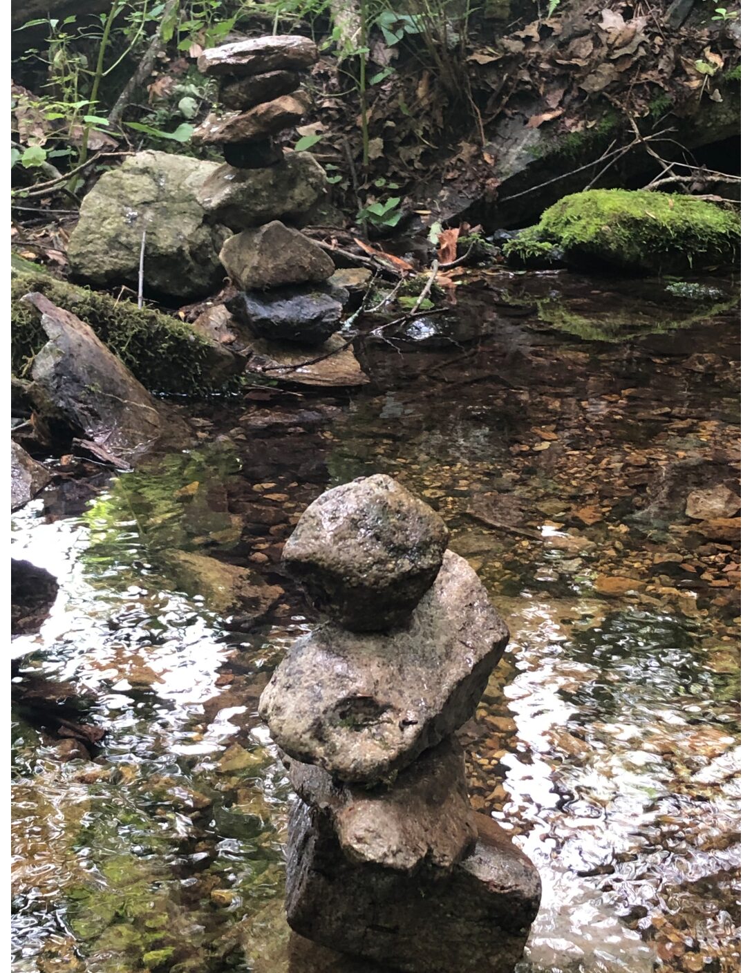 Somebody is Always Watching with Nick Horowski