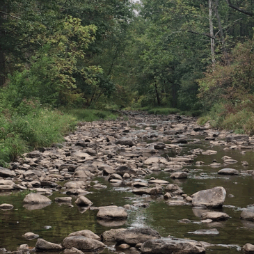 Give Every Hug Like It’s Your Last